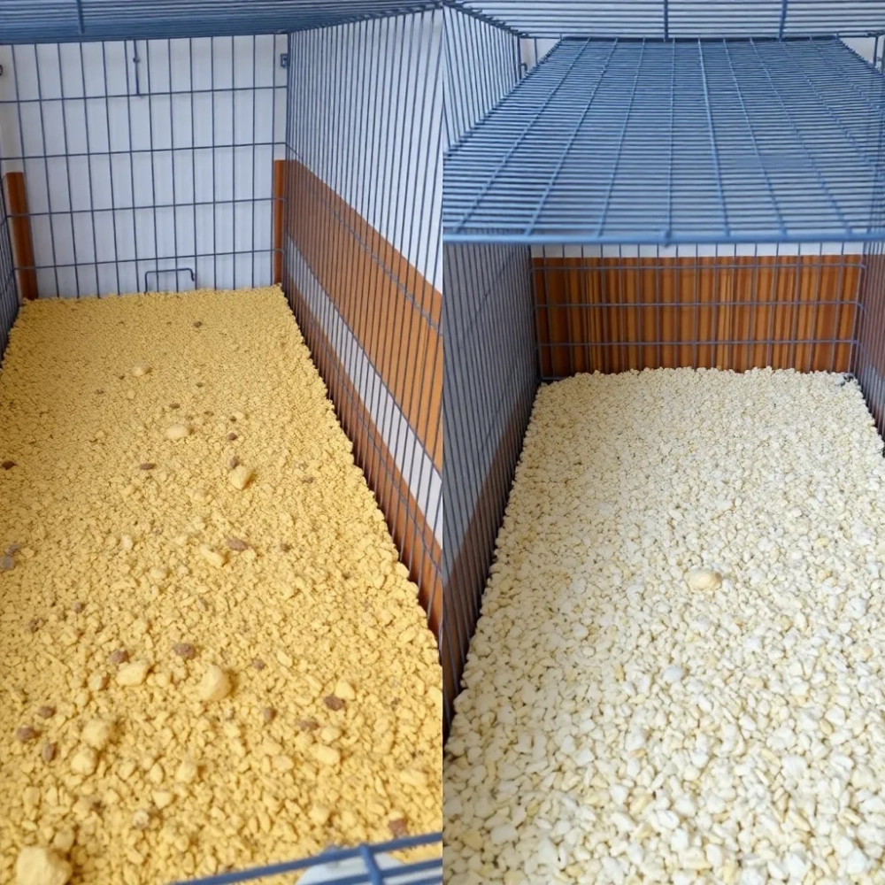 Co ile trzeba sprzątać klatkę królika