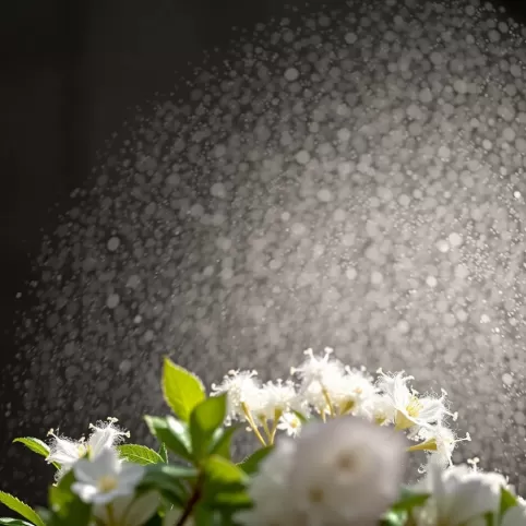 Jak często sprzątać łazienkę